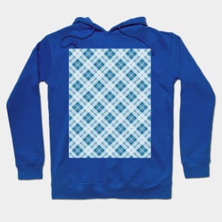 Light Blue tartan plaid winter pattern Hoodie